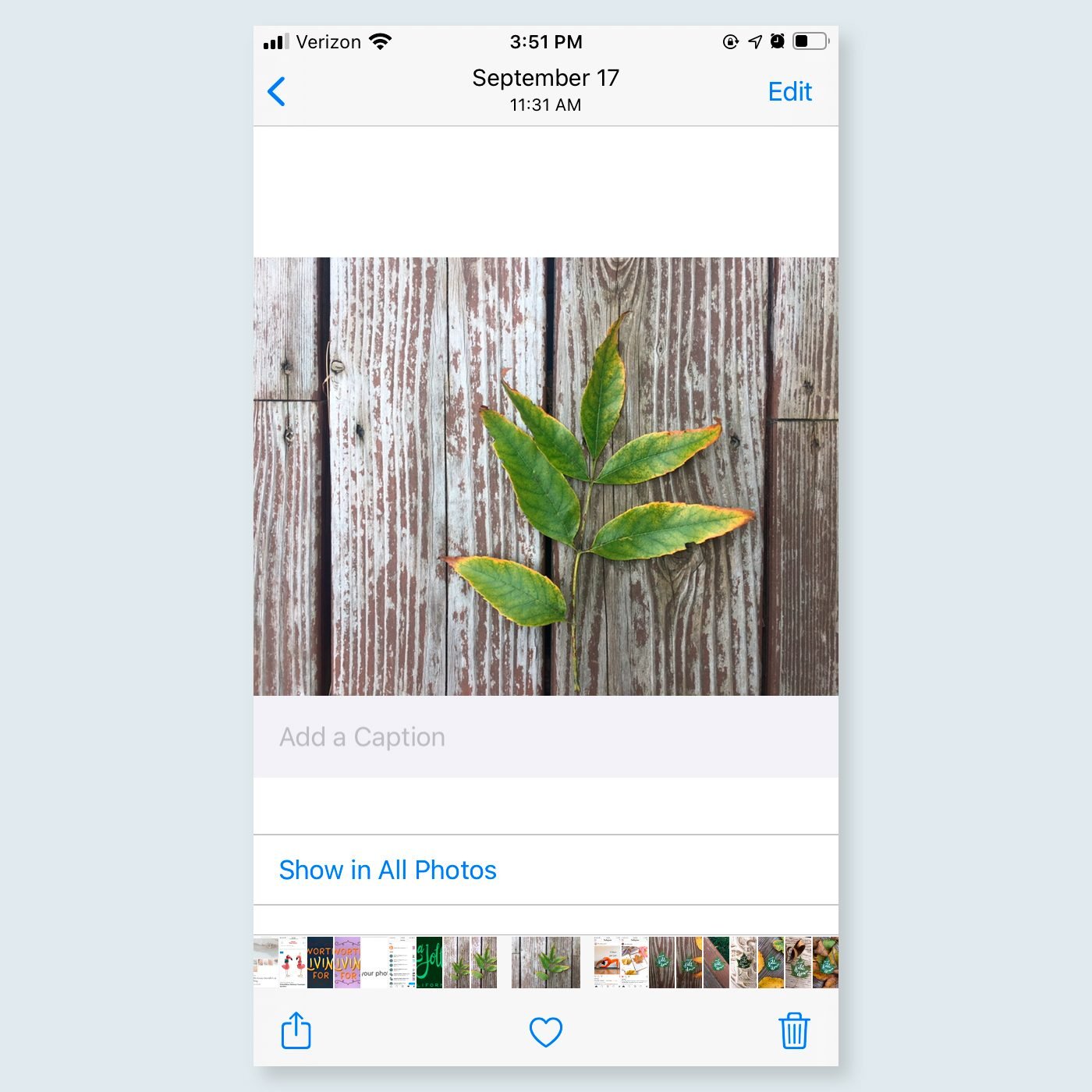 Add captions to photos and videos