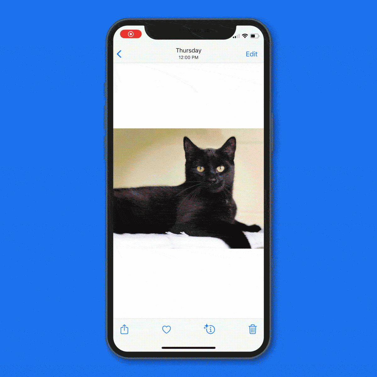 Using a photo in your Photos app